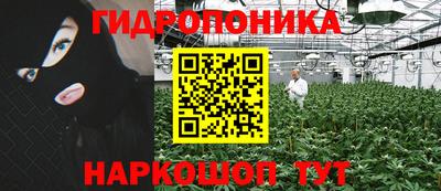 бошки Аша