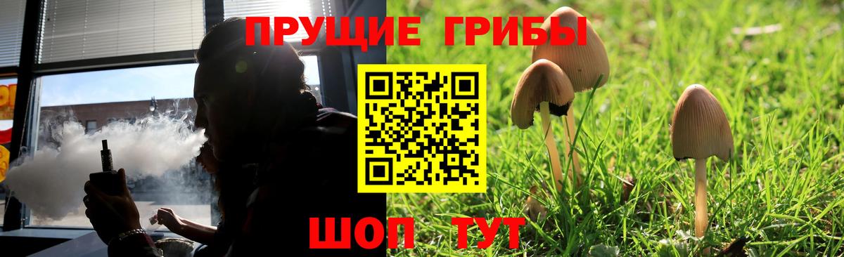 Псилоцибиновые грибы GOLDEN TEACHER  Вход с VPN  Котельники 